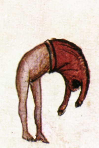 George Hadjimichalis - 1221